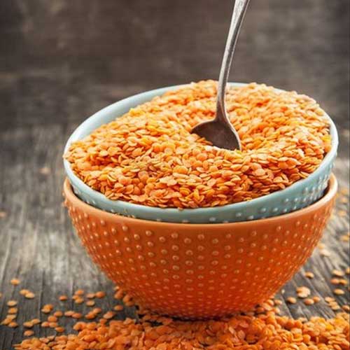 Organic-Red-lentils-50-kg